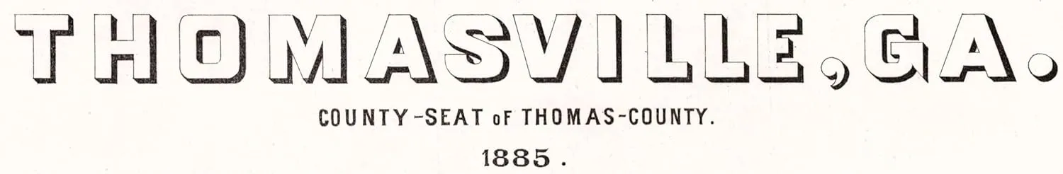 1885 Panoramic Map of Compatible with Thomasville Georgia Compatible with Thomas County (Material: 11"x17"Matte)