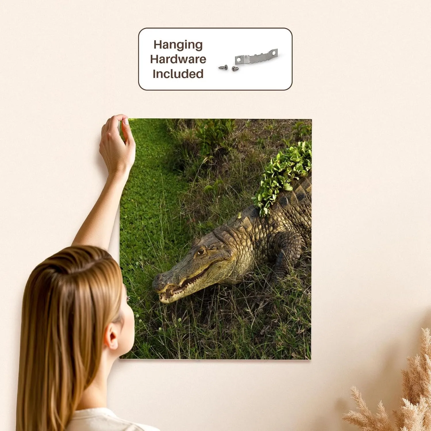 3dRose, Brown Caiman crocodile, Lettuce, Guanrico, Venezuela - SA20 POX0012 - Pete Oxford, Museum Grade Canvas Wrap 16x20