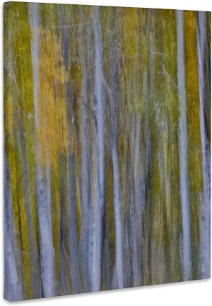 3dRose, California, June Lake. Aspens in Fall golden color, blur motion, Museum Grade Canvas Wrap
