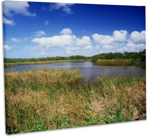 3dRose, Eco pond, Everglades, Florida, USA - US10 AJE0269 - Adam Jones, Museum Grade Canvas Wrap 20x16