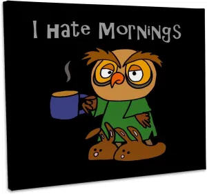 3dRose, Funny Cute Sleepy Owl Bird says I hate Mornings, Museum Grade Canvas Wrap 20x16