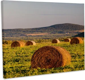 3dRose, Hay bales in a field on the Appalachian Trail. Merrill, Maine, Museum Grade Canvas Wrap 14x11