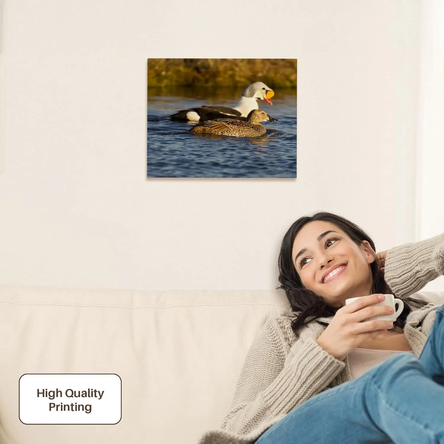 3dRose, King eider duck, tundra pond, Alaska, USA - US02 HRO0726 - Hugh Rose, Museum Grade Canvas Wrap 14x11