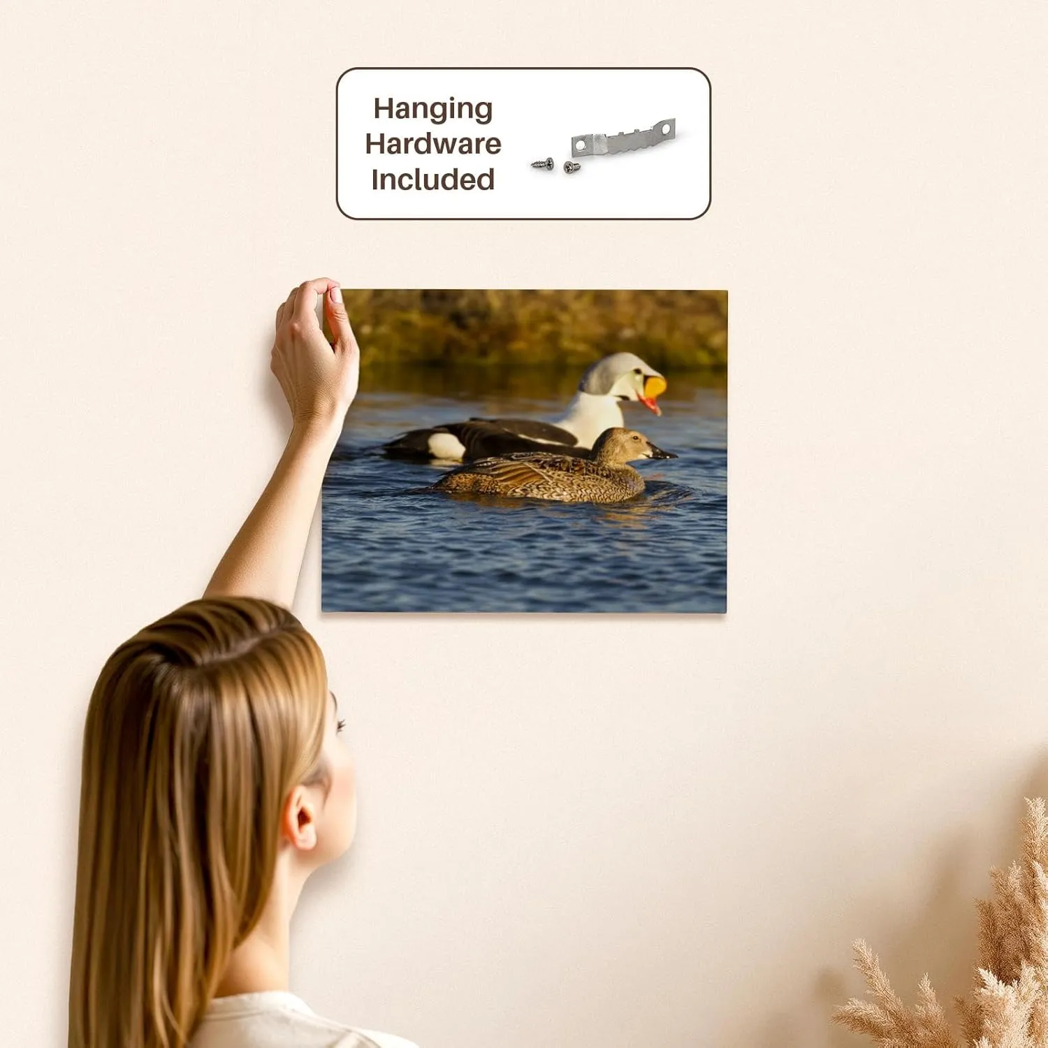 3dRose, King eider duck, tundra pond, Alaska, USA - US02 HRO0726 - Hugh Rose, Museum Grade Canvas Wrap 14x11