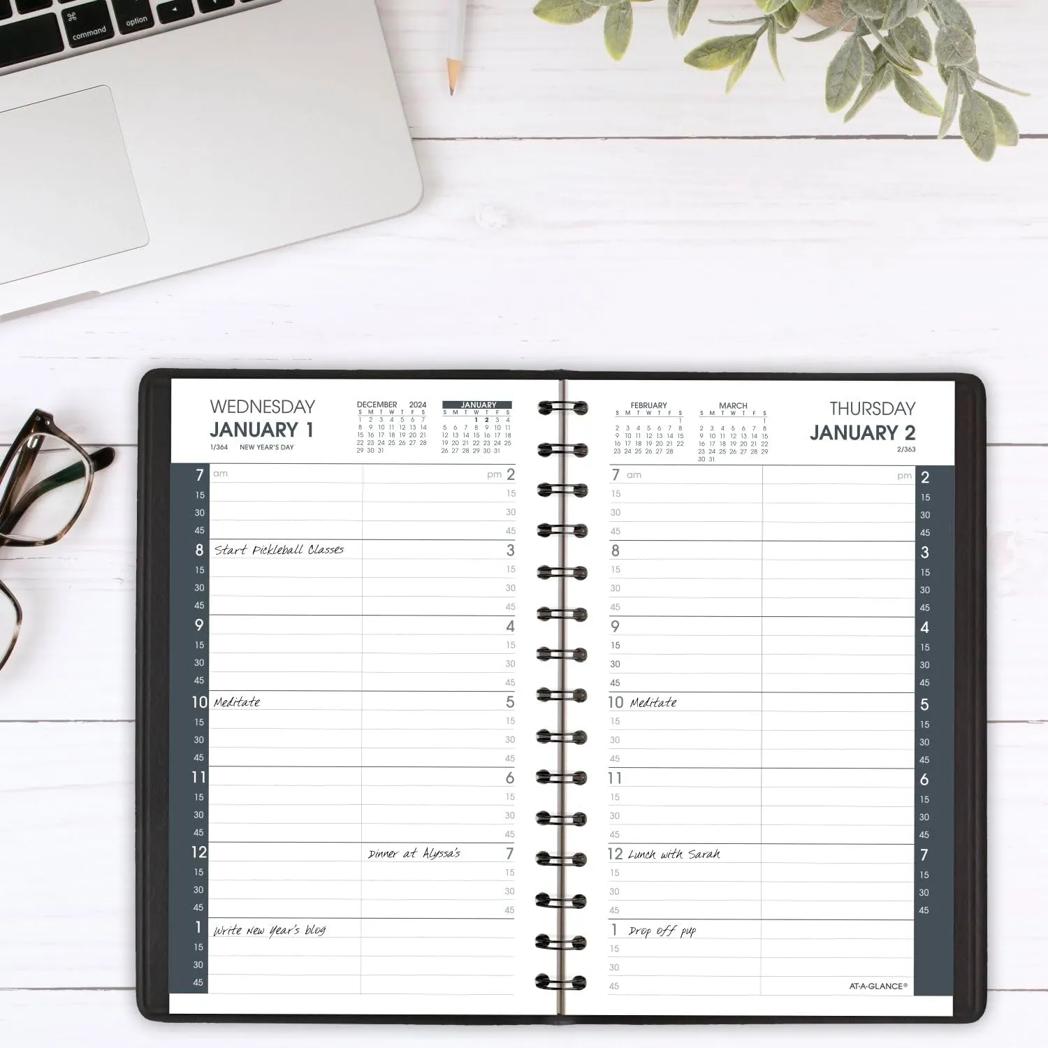 AT-A-GLANCE 2025 Appointment Book Planner, Daily, 5" x 8", Small, Quarter-Hourly, Black (708000525)