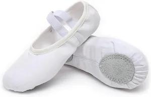 Canvas Ballet Dance Shoes Girls Womens Ballet Shoes Stretch Split Sole for Perform Dance Yoga