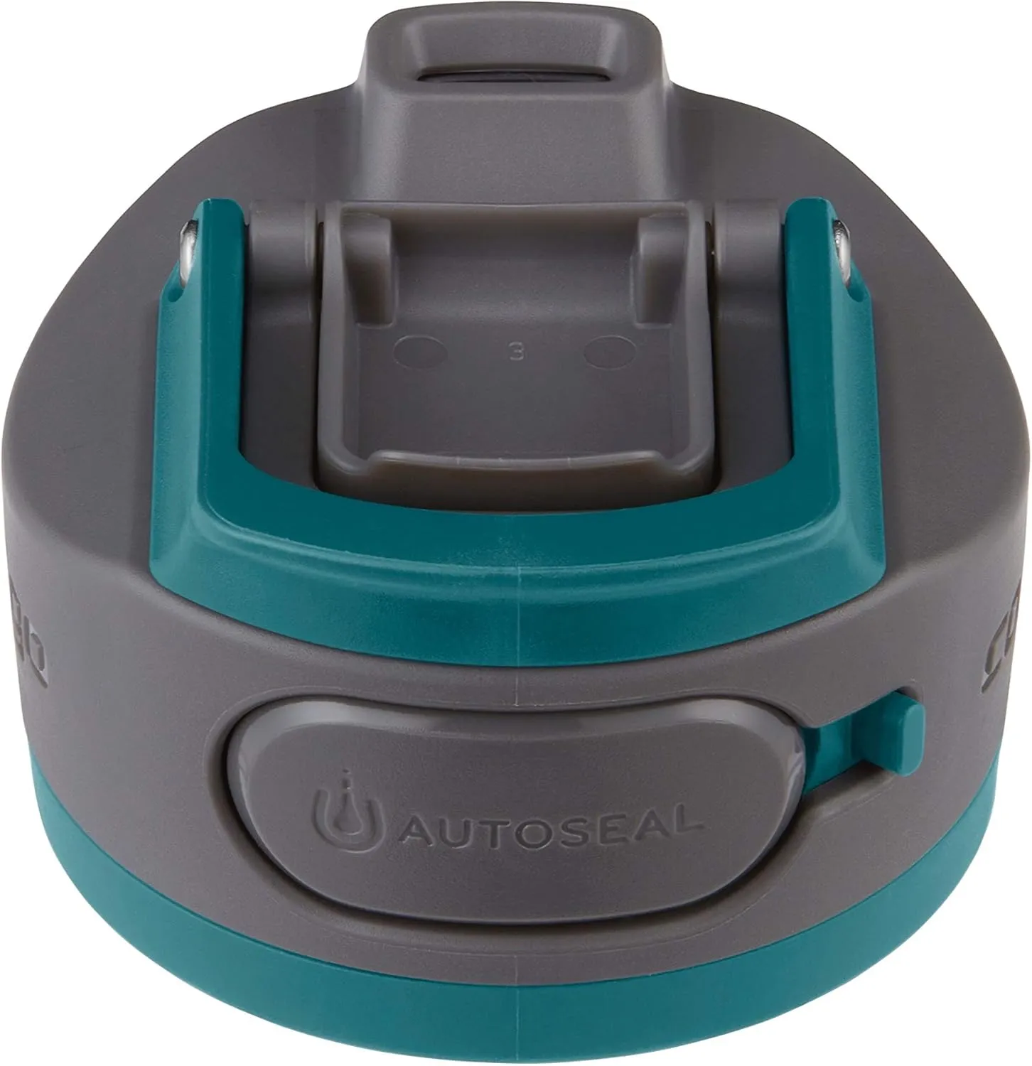 Contigo AUTOSEAL Cortland 24oz Water Bottle BPA-Free Plastic Spill Leak-Proof Lid and Carry Handle Dishwasher Safe Spirulina