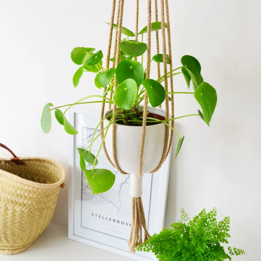 COTTON MACRAME PLANT HOLDERS (SOUTH AFRICA)