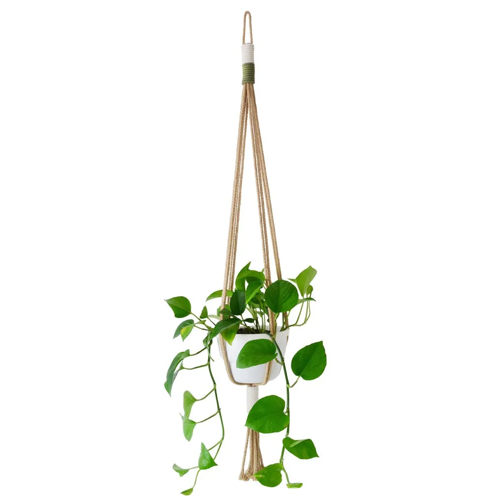 COTTON MACRAME PLANT HOLDERS (SOUTH AFRICA)