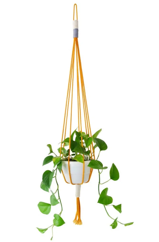 COTTON MACRAME PLANT HOLDERS (SOUTH AFRICA)