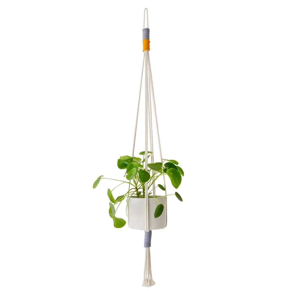 COTTON MACRAME PLANT HOLDERS (SOUTH AFRICA)