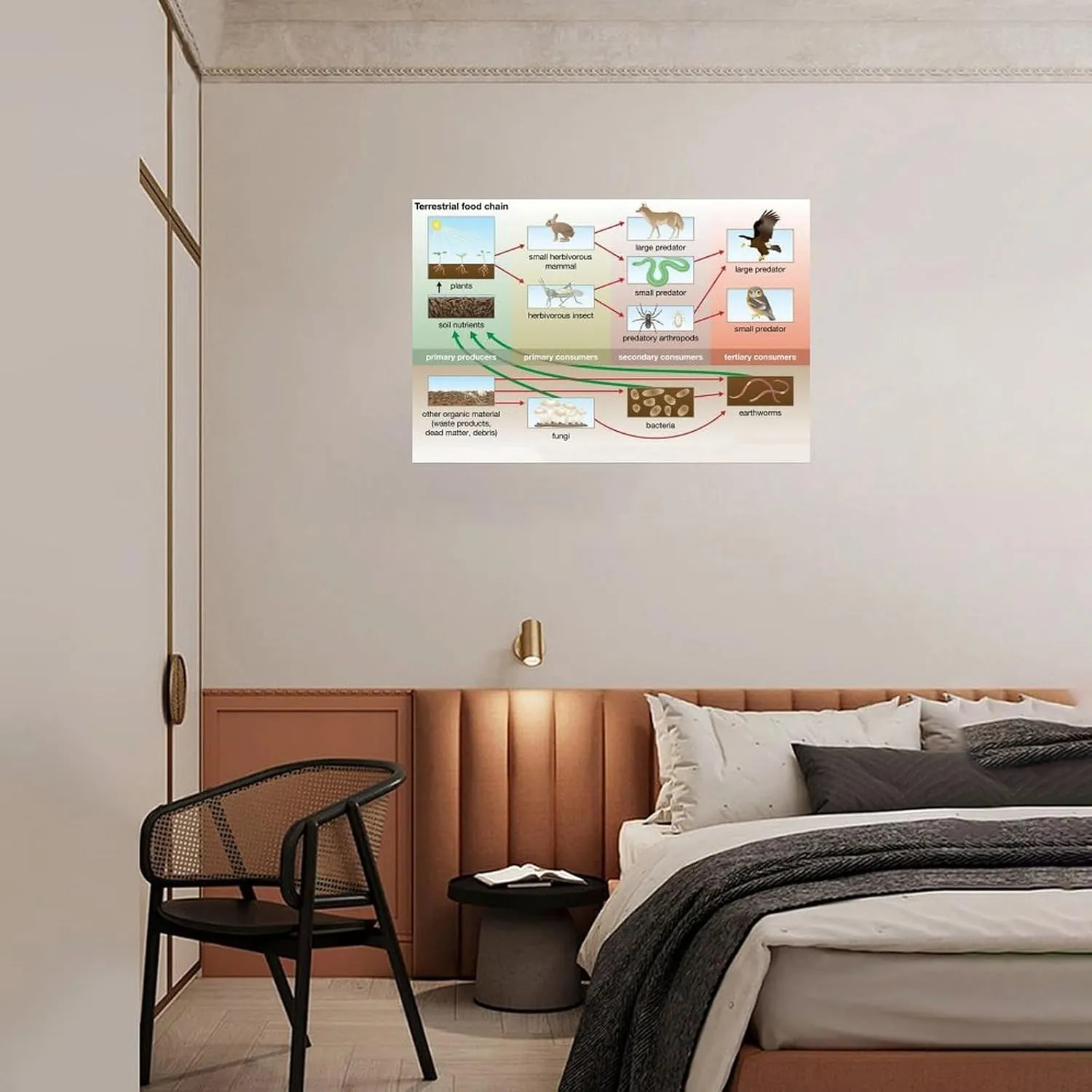 Food Chain And Food Web Ecosystem Poster (4) Canvas Print Wall Art Decor Living Office Bedroom 30x20inch(75x50cm) Unframe-style