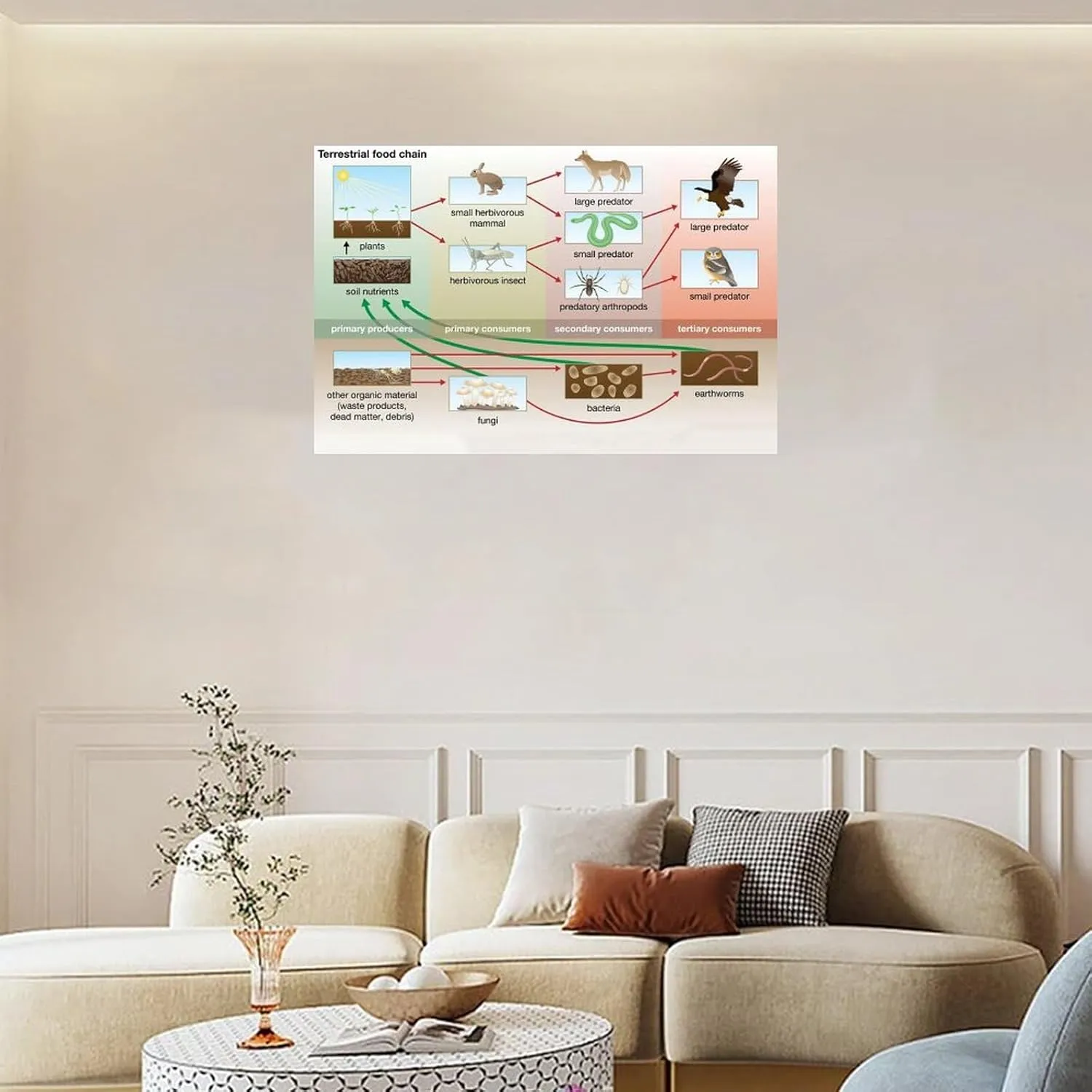 Food Chain And Food Web Ecosystem Poster (4) Canvas Print Wall Art Decor Living Office Bedroom 30x20inch(75x50cm) Unframe-style