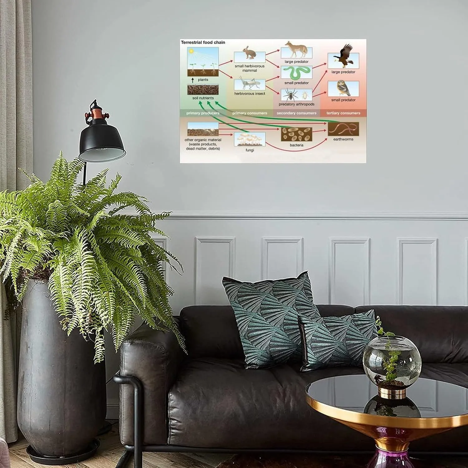 Food Chain And Food Web Ecosystem Poster (4) Canvas Print Wall Art Decor Living Office Bedroom 30x20inch(75x50cm) Unframe-style