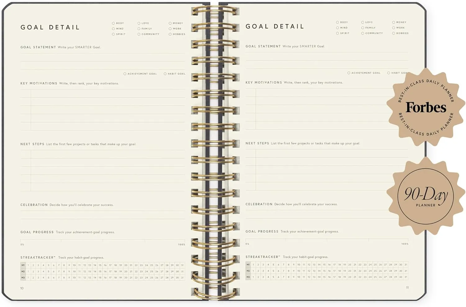 Full Focus Leather Coil Planner by Michael Hyatt - The #1 Daily Planner to Set Annual Goals, Increase Focus, Eliminate Overwhelm, and Achieve Your Biggest Goals - Hardcover (Gray)