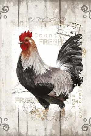 GRANDART.COM - Country Fresh - Canvas Wall Art By Conrad Knutsen