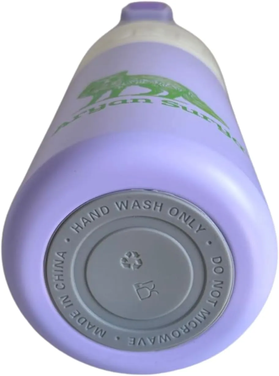 Insulated Stainless Steel Water Bottle with push-button lid with lock and Straw for Sports and Travel, BPA-Free Sports Water Bottle, 22 oz (Purple, 22 oz)