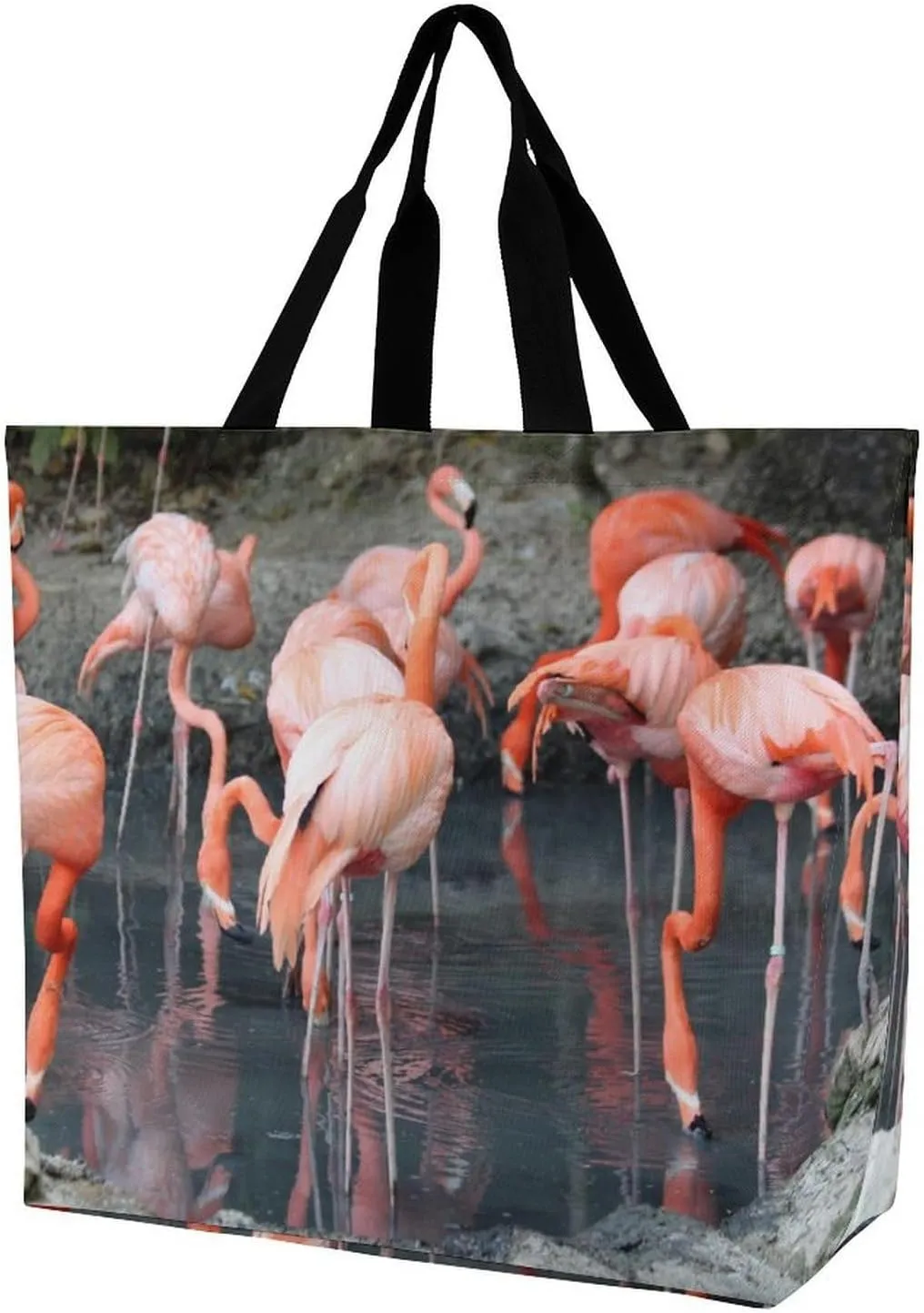 Large Capacity Shopping Tote Bag for Women, Girls