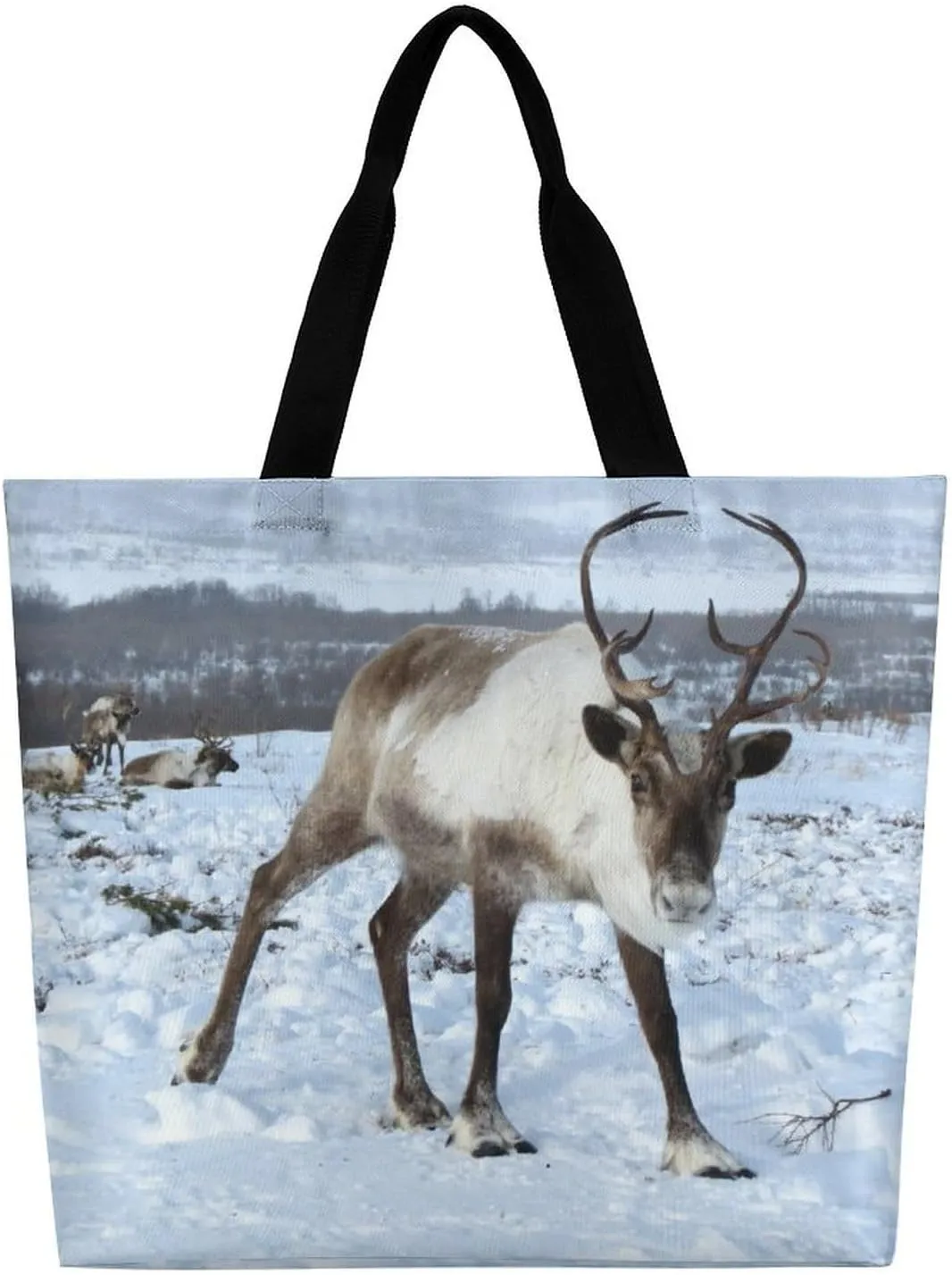 Large Capacity Shopping Tote Bag for Women, Girls