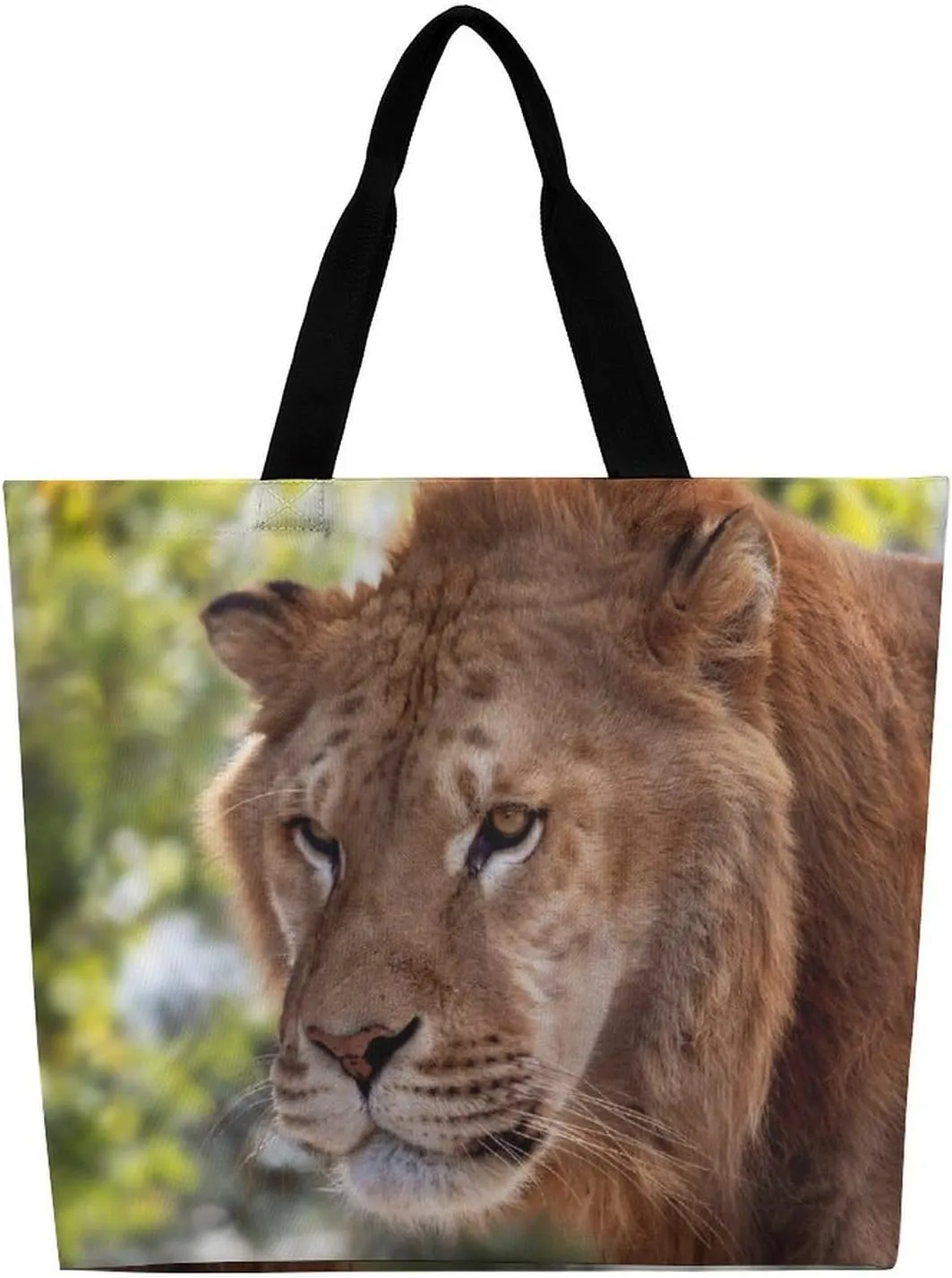 Large Capacity Shopping Tote Bag for Women, Girls