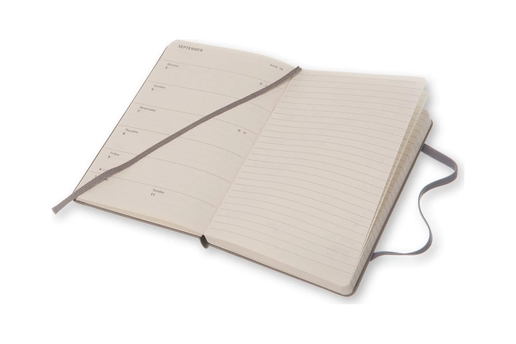 Moleskine Peanuts 18 Months Weekly Planner Pocket, Large