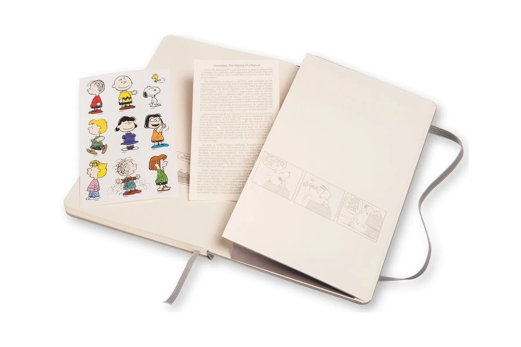 Moleskine Peanuts 18 Months Weekly Planner Pocket, Large