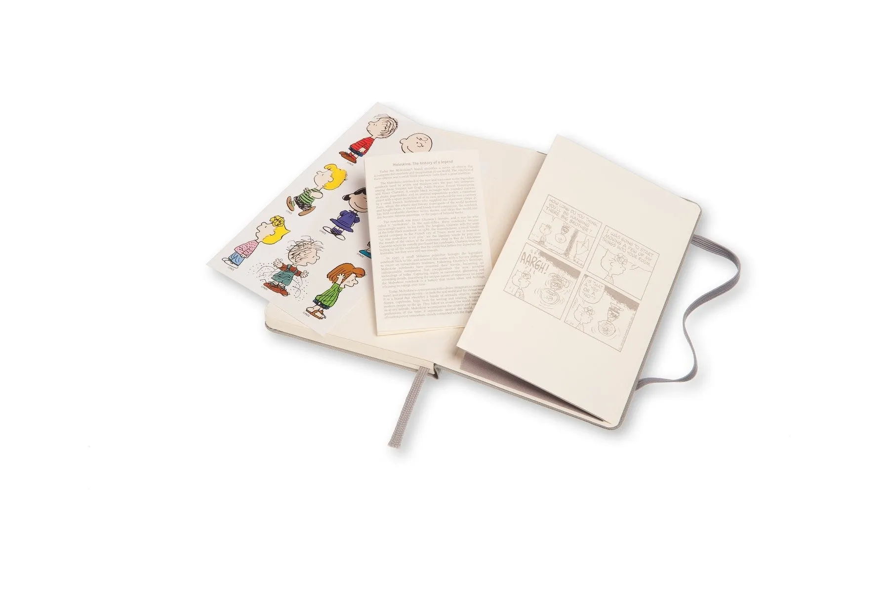 Moleskine Peanuts 18 Months Weekly Planner Pocket, Large