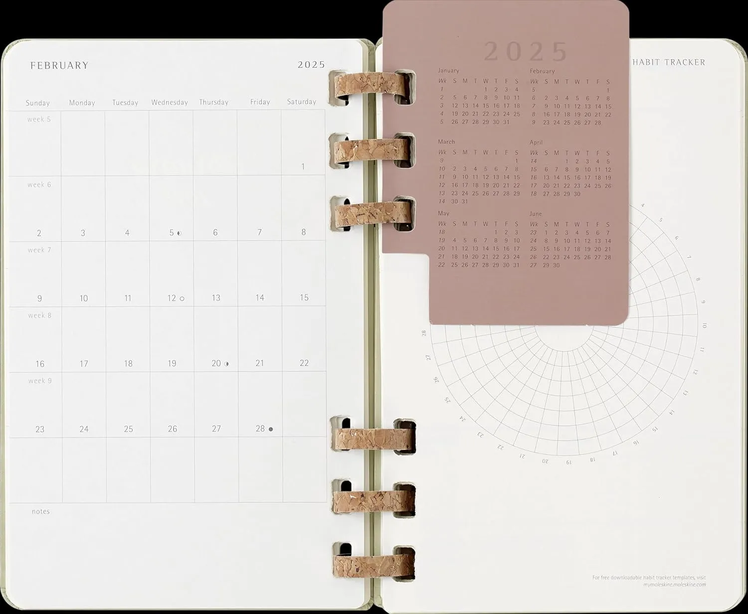 Moleskine Spiral 12 Month 2025 Solar Year Planner, Hard Cover, Large (5" x 8.25"), Kiwi, 200 pages