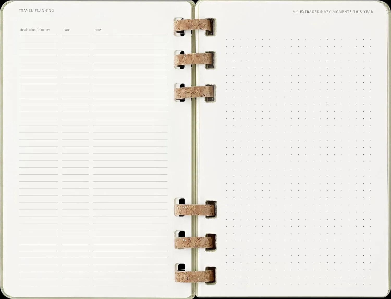 Moleskine Spiral 12 Month 2025 Solar Year Planner, Hard Cover, Large (5" x 8.25"), Kiwi, 200 pages