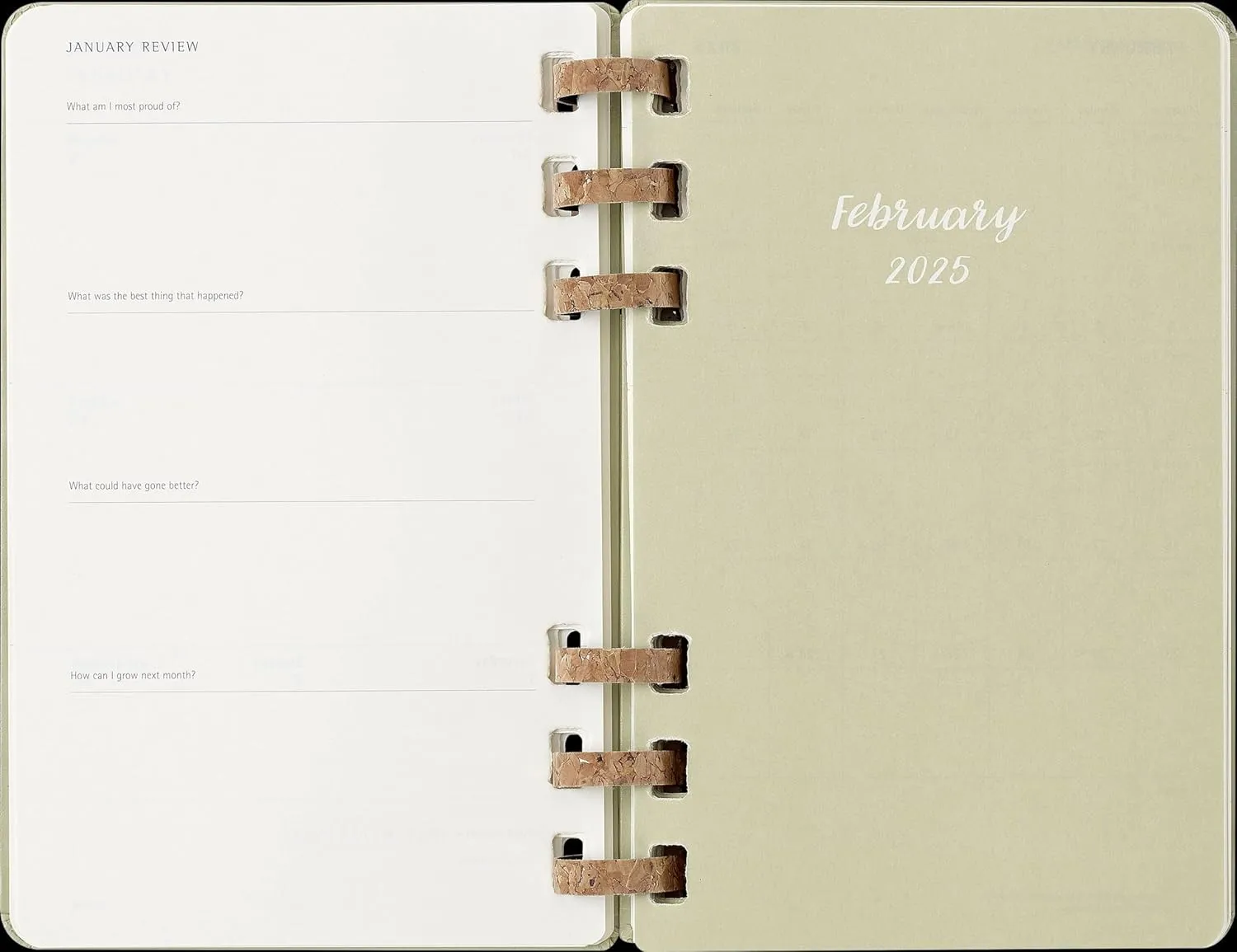 Moleskine Spiral 12 Month 2025 Solar Year Planner, Hard Cover, Large (5" x 8.25"), Kiwi, 200 pages