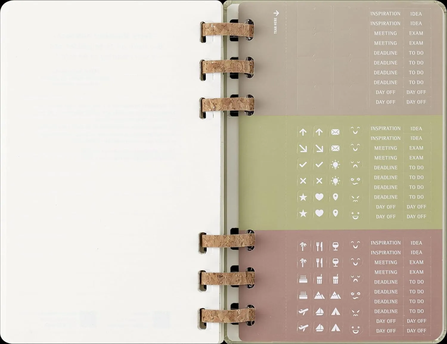 Moleskine Spiral 12 Month 2025 Solar Year Planner, Hard Cover, Large (5" x 8.25"), Kiwi, 200 pages