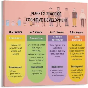 Piaget's Cognitive Development Stages Poster (1) Educational Poster Canvas Painting Art Wall Decoration Living Room Study Classroom Poster Wall Art Poster Canvas Print Office Gift Bedroom Aesthetic De