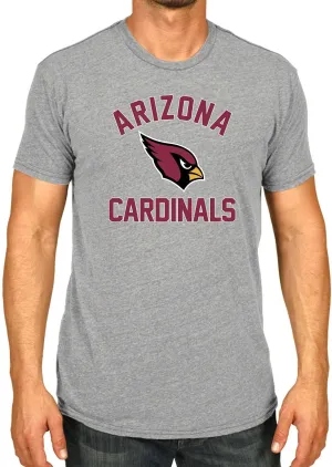 Team Fan Apparel NFL Adult Gameday T-Shirt - Cotton Blend - Tagless - Semi-Fitted - Unleash Your Team Spirit During Game Day
