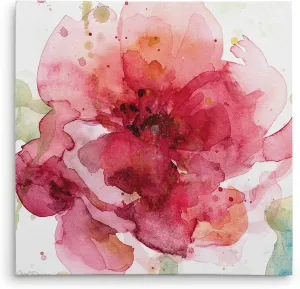 Wexford Home Bold Blush I -Gallery Wrapped Canvas Art Print, 40x40,