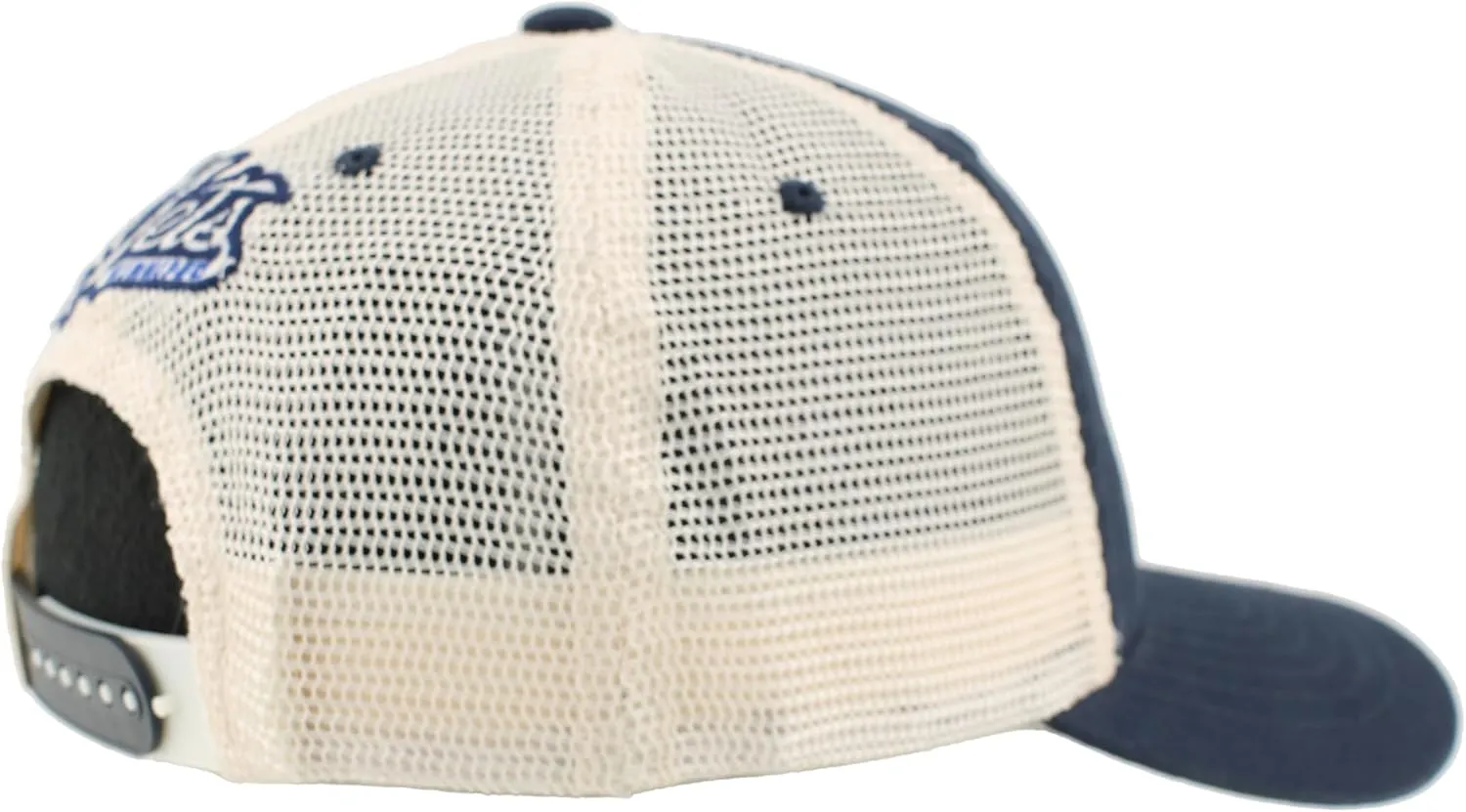 ZHATS NHL Officially Licensed Adjustable Snapback Hat University Icon Team Color